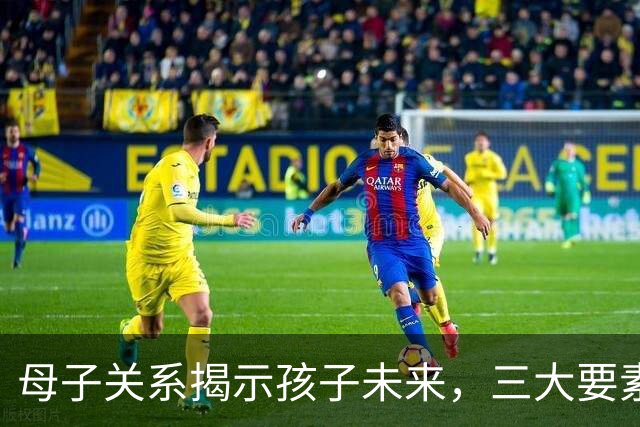 母子关系揭示孩子未来，三大要素决定成就与责任